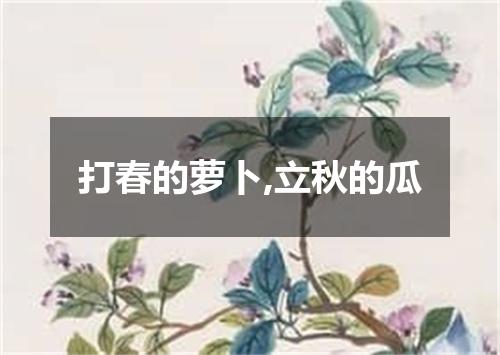 打春的萝卜,立秋的瓜