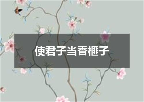 使君子当香榧子