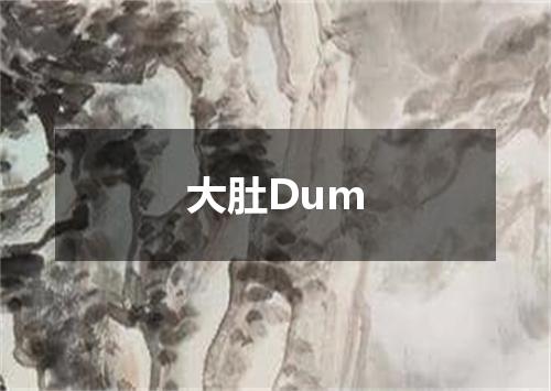 大肚Dum