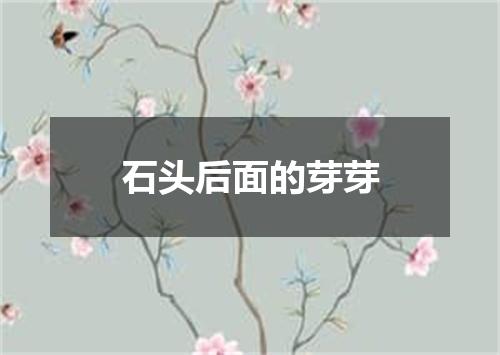 石头后面的芽芽