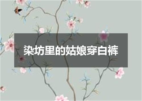 染坊里的姑娘穿白裤