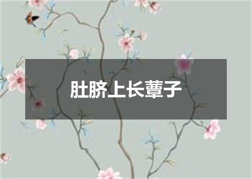 肚脐上长蕈子