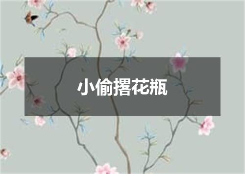 小偷撂花瓶