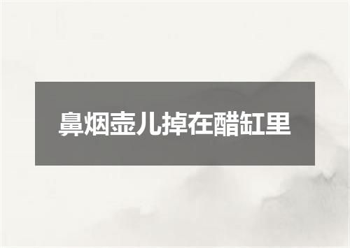 鼻烟壶儿掉在醋缸里