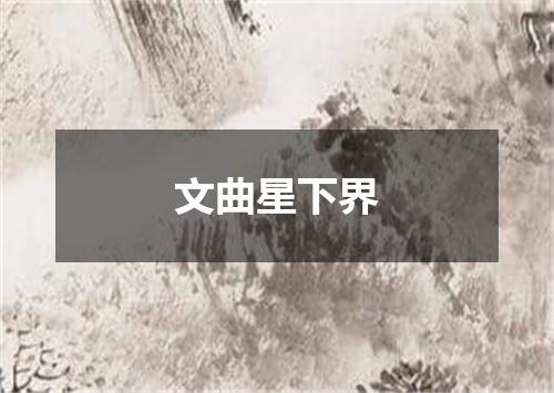 文曲星下界