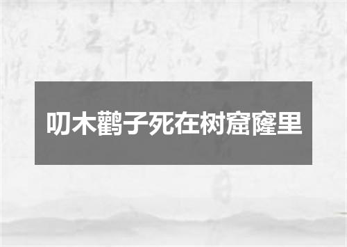 叨木鹳子死在树窟窿里