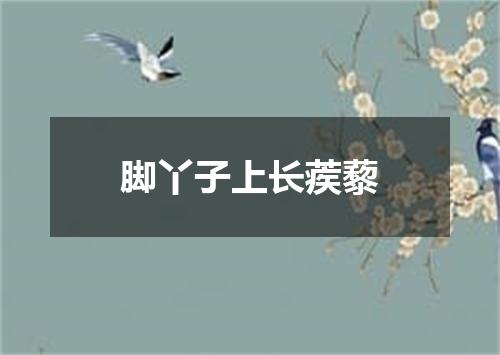 脚丫子上长蒺藜