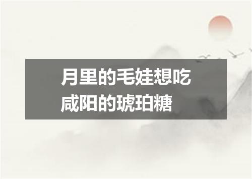 月里的毛娃想吃咸阳的琥珀糖