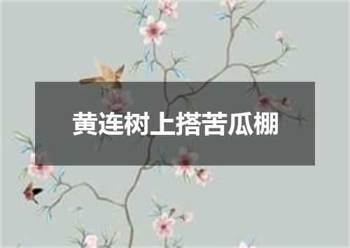 黄连树上搭苦瓜棚