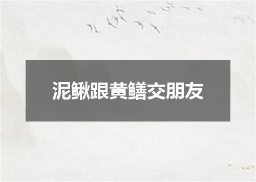 泥鳅跟黄鳝交朋友