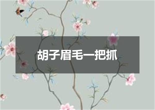 胡子眉毛一把抓