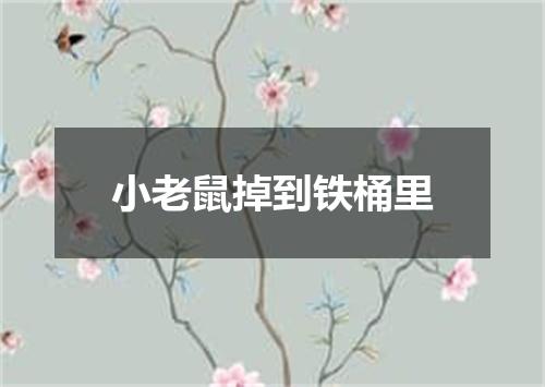 小老鼠掉到铁桶里