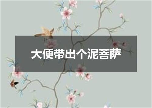 大便带出个泥菩萨