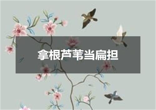 拿根芦苇当扁担