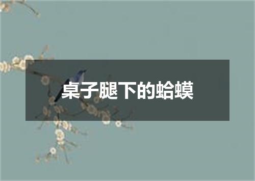 桌子腿下的蛤蟆