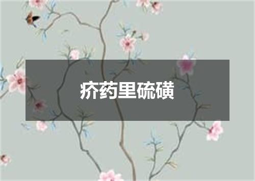 疥药里硫磺