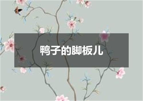 鸭子的脚板儿