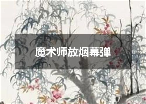 魔术师放烟幕弹