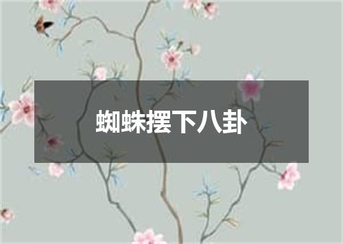 蜘蛛摆下八卦