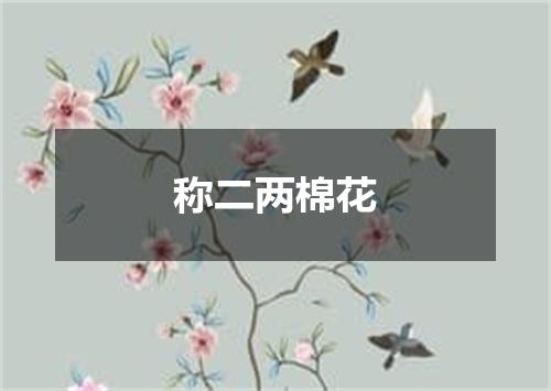 称二两棉花