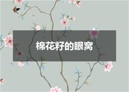 棉花籽的眼窝