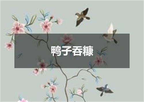 鸭子吞糠