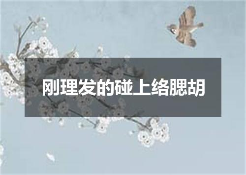 刚理发的碰上络腮胡