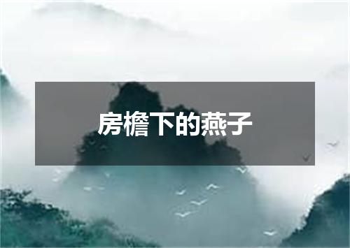 房檐下的燕子