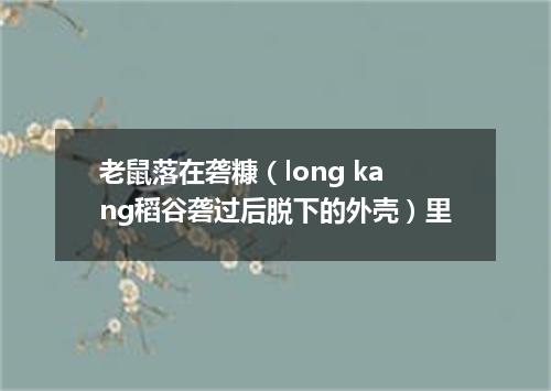 老鼠落在砻糠（long kang稻谷砻过后脱下的外壳）里