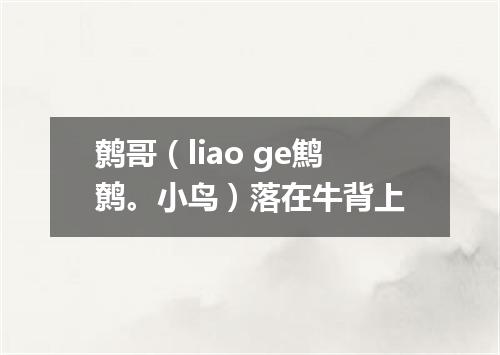 鹩哥（liao ge鹪鹩。小鸟）落在牛背上