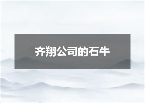 齐翔公司的石牛