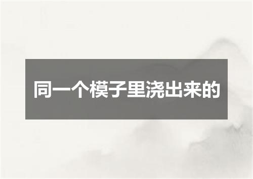 同一个模子里浇出来的