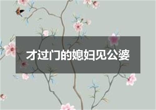 才过门的媳妇见公婆