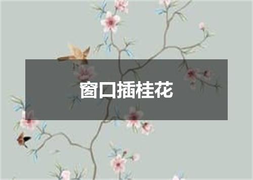 窗口插桂花