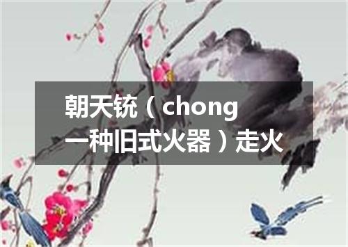 朝天铳（chong一种旧式火器）走火