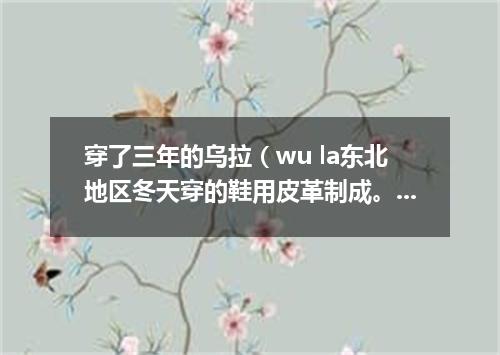 穿了三年的乌拉（wu la东北地区冬天穿的鞋用皮革制成。里面垫乌拉草）