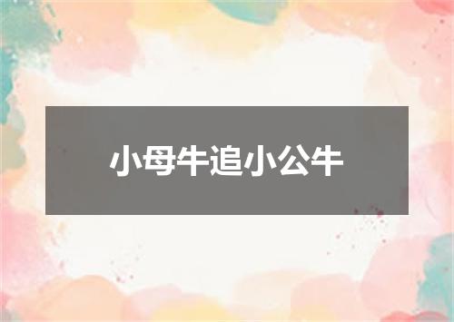 小母牛追小公牛