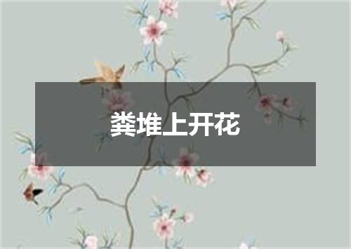 粪堆上开花