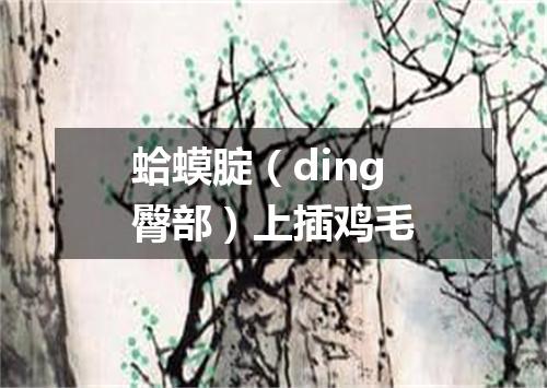 蛤蟆腚（ding臀部）上插鸡毛