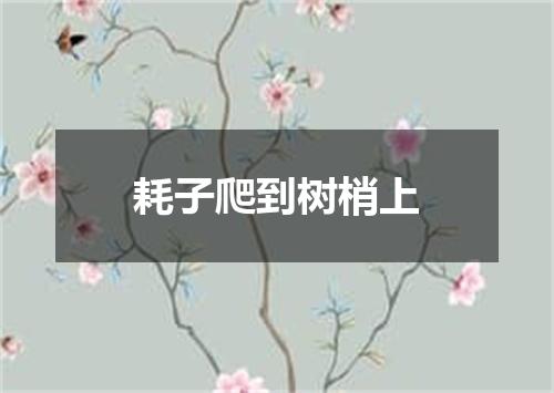 耗子爬到树梢上