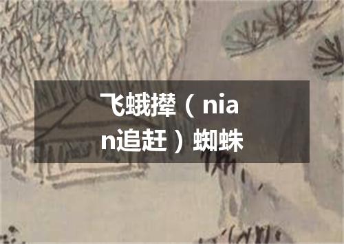 飞蛾撵（nian追赶）蜘蛛