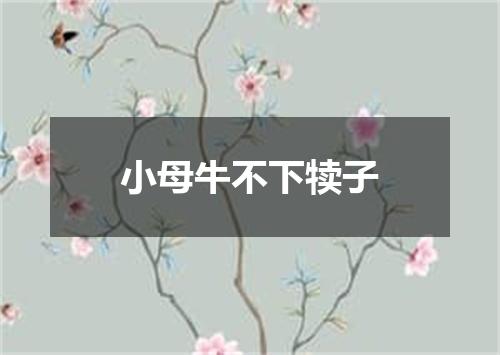 小母牛不下犊子