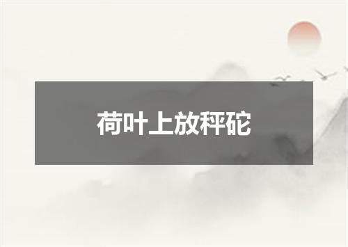 荷叶上放秤砣