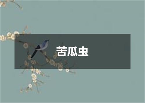 苦瓜虫