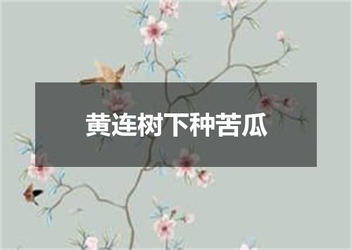 黄连树下种苦瓜