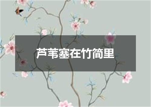 芦苇塞在竹简里