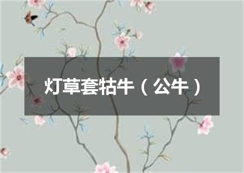 灯草套牯牛（公牛）