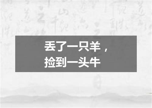 丢了一只羊，捡到一头牛