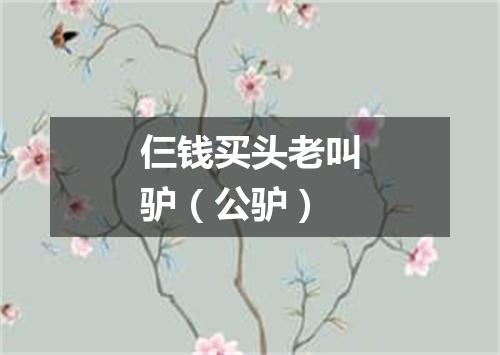 仨钱买头老叫驴（公驴）