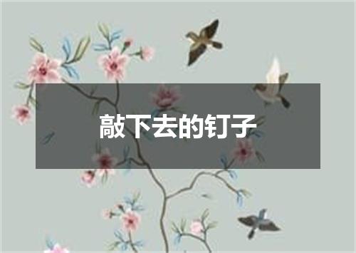 敲下去的钉子